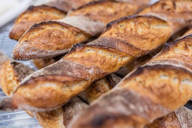 Çıtır çıtır, taze, kokulu, fırından çıkan kokulu ekmek yemeye hazır.