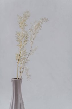 Beyaz arka planda dalları olan dekoratif vazo. dekor ögesi