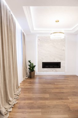 geniş çözünürlüklü temiz oda şömine ve bitki ile