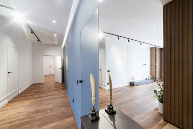 Geniş aynalı ve ahşap kaplamalı bir dairenin yeni, şık, modern iç tasarımı.