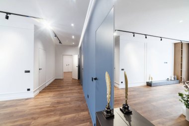 Modern tasarımda mavi ve beyaz duvarlı bir daire.