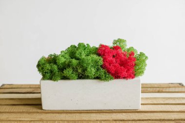 İzlanda yosunlarını tahta ve beyaz arka planda beyaz betonda sabitledi