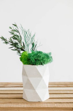 İzlanda yosunlarını tahta ve beyaz arka planda beyaz betonda sabitledi