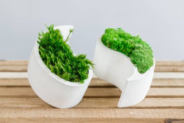 Genç sterilize edilmiş İzlanda yosunları tahtada beyaz betonda. yin-yang figürü