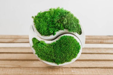 Genç sterilize edilmiş İzlanda yosunları tahtada beyaz betonda. yin-yang figürü