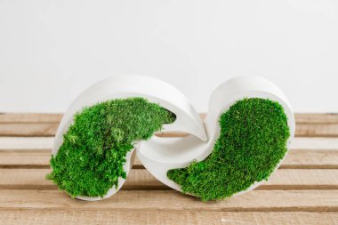 Genç sterilize edilmiş İzlanda yosunları tahtada beyaz betonda. yin-yang figürü