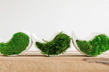 Genç sterilize edilmiş İzlanda yosunları tahtada beyaz betonda. yin-yang figürü