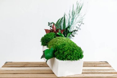 İzlanda yosunlarını tahta ve beyaz arka planda beyaz betonda sabitledi