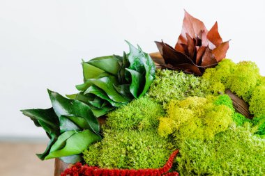 Arka planda ahşap bir kase içinde İzlanda usulü yosun.