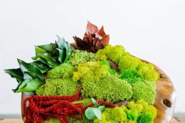 Arka planda ahşap bir kase içinde İzlanda usulü yosun.