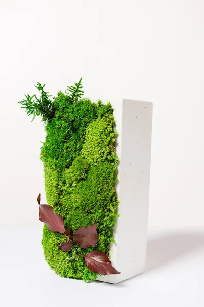 İç tasarım için beyaz zemin üzerinde beyaz beton yosunlar