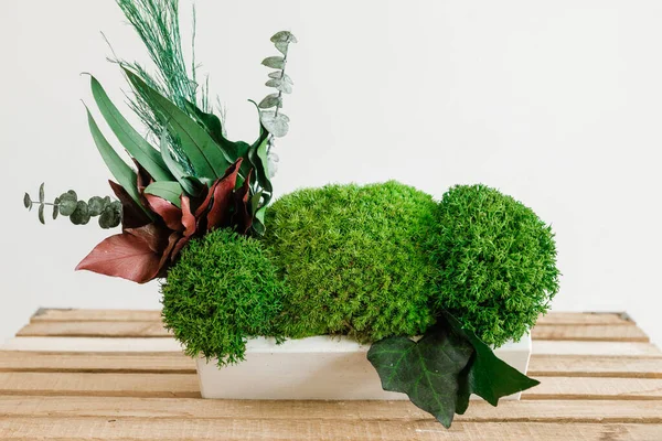 İzlanda yosunlarını tahta ve beyaz arka planda beyaz betonda sabitledi