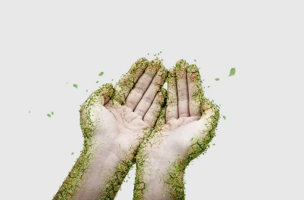 Hands Covered Green Leaves World Concept Sustainable Concept —  Fotos de Stock