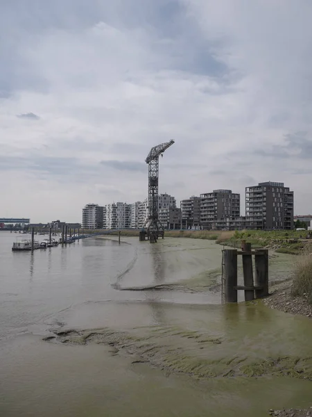 Temse Belgium May 2022 Landscape Photo River Scheldt Temse Old — Foto de Stock