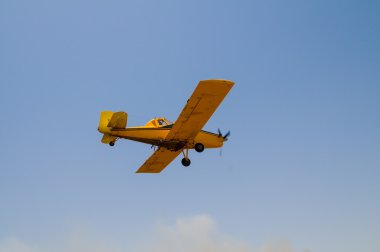 orman yakma