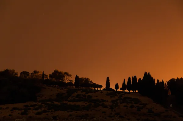 Bir tepeüzerinde ağaçlar ile Gece manzara