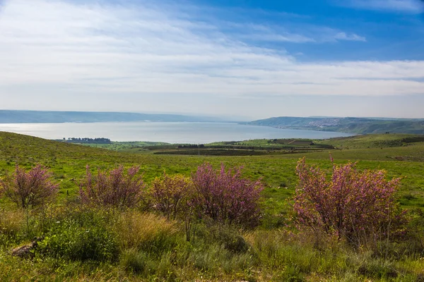 Manzara güzel yeşil vadi lake ile — Stok fotoğraf