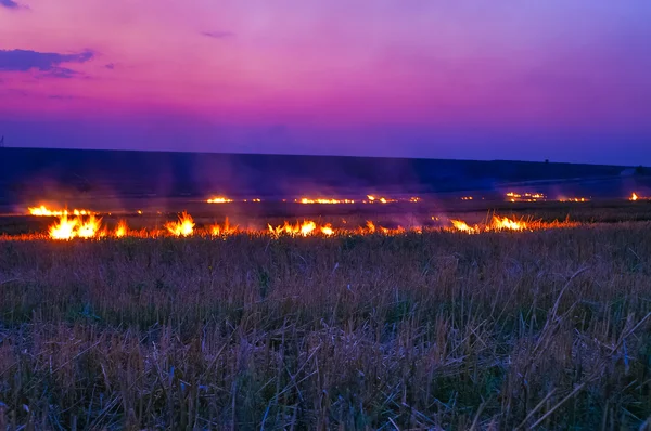 Quemadura de campo — Foto de Stock