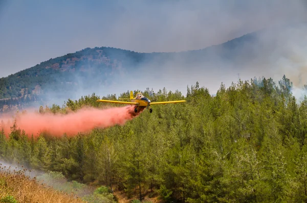 Δάσος καύση — Φωτογραφία Αρχείου