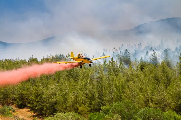 Quema forestal — Foto de Stock