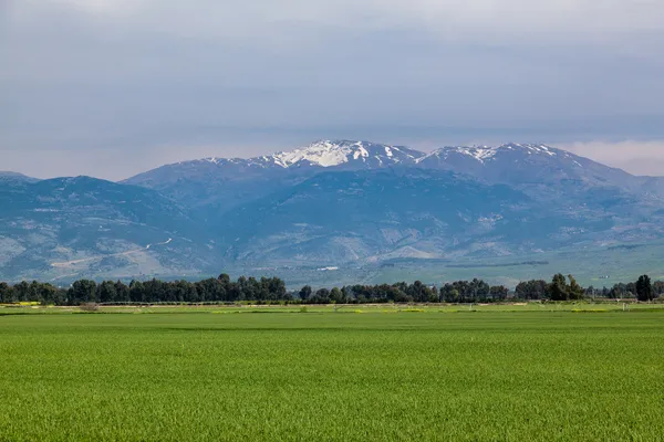 İsrail'de erken ilkbaharda Hermon Dağı karlı zirve
