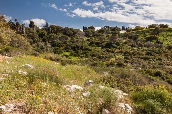 青い曇り空、ハイファ、イスラエル共和国の山の風景 — ストック写真