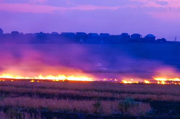 Field Burning Royalty Free Stock Photos