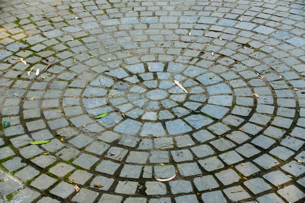 Colorato Modello Piastrelle Circolari Sul Sentiero — Foto Stock