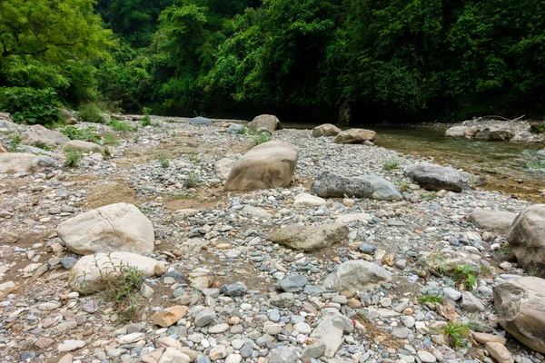 Gran Ángulo Tiro Río Que Fluye Través Del Bosque India — Foto de Stock
