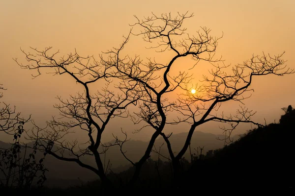 Dehradun Uttarakhand India Silueta Stromů Bez Listí Vrcholku Kopce Obklopená — Stock fotografie