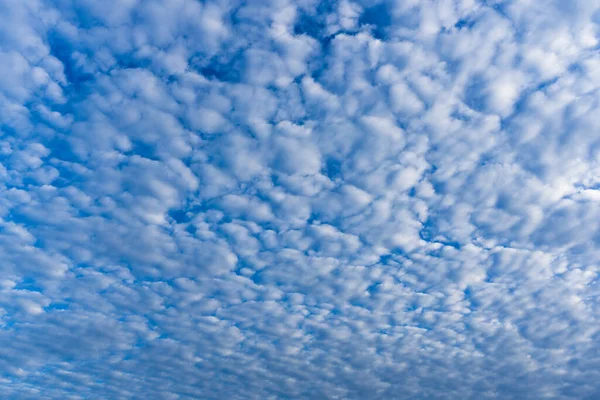 Verschillende Vormen Van Witte Wolken Vormen Zich Blauwe Luchten Van — Stockfoto