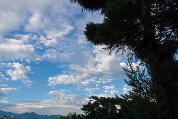 Verschiedene Formen Weißer Wolken Blauen Himmel Uttarakhand Indiens Mit Bäumen — Stockfoto