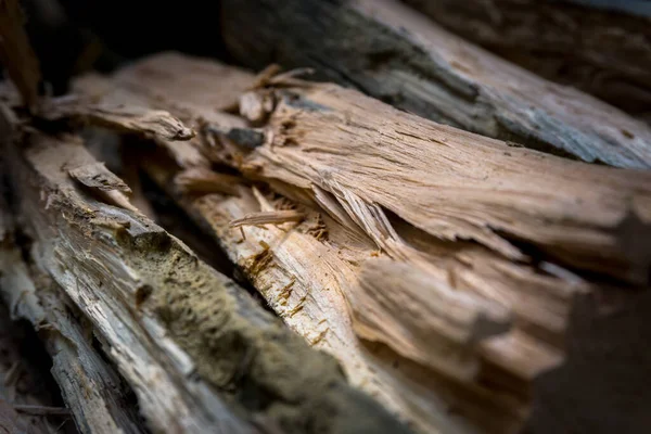 Yemek pişirmek için şöminede kullanılan yakın çekim odun vesaire..