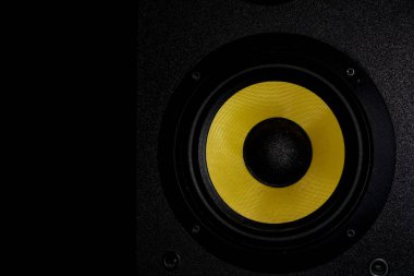 Sarı sürücü ve jet siyah ahşap dolabı olan yüksek kaliteli bir kitaplık hoparlörü..