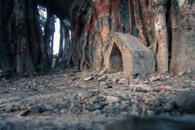Bir banyan ağacının altında küçük üçgen bir dua noktası. Dehradun Uttarakhand Hindistan. Bu küçük üçgen anıt Hindu dininde ibadet yeri olarak çok yaygındır. .