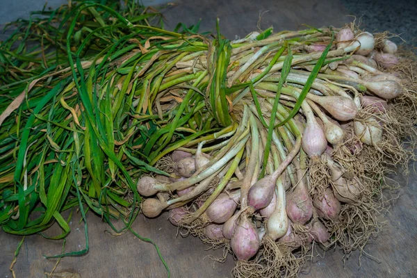 Closeup Shot Raw Garlic Covering Leaves Organically Grown Garlic North — Stockfoto