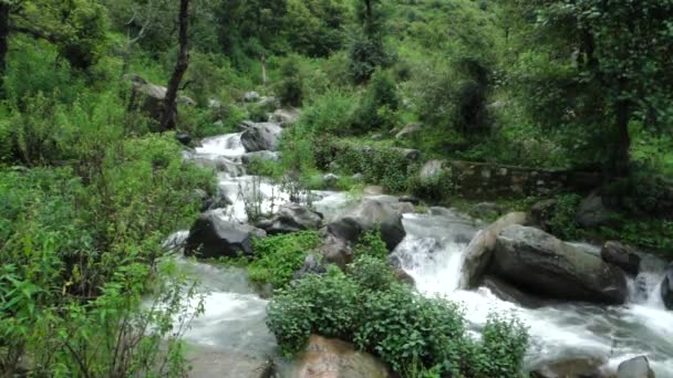 Tiro Ângulo Largo Rio Que Flui Através Floresta Índia Rural — Vídeo de Stock