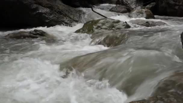 Nahaufnahme Eines Fließenden Flussbaches Starke Strömung Mit Geschwindigkeit — Stockvideo