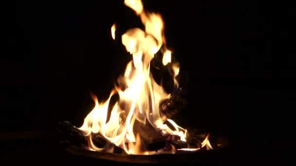 Close Upshot Bonfire Winter Night North India — Stock Video © RUPENDRA143 #585536898 Close Upshot Bonfire Winter Night North India — Stock Video © RUPENDRA143 #585536898