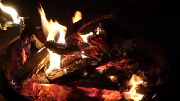 Close Upshot Bonfire Winter Night North India — Stok Video