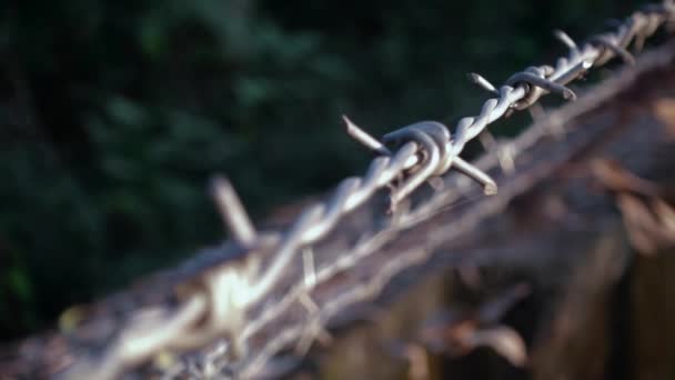 Close Shot Moving Barbed Wire — ストック動画