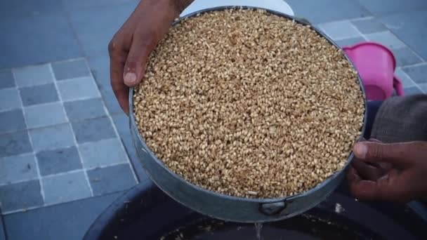 Dehradun City Uttarakhand Indien März 2022 Indian Man Verarbeitet Weizen — Stockvideo