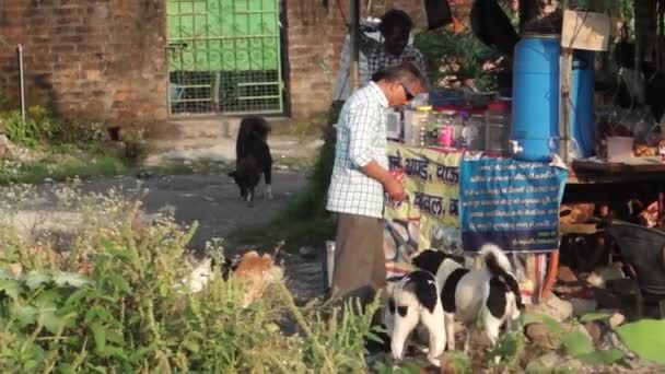 Editorial Dated 3Rd Nov 2021 Location Dehradun India Man Feeding — Stockvideo