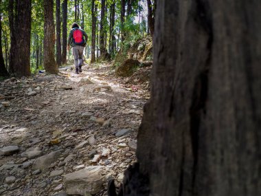 March 21st 2020 Uttarakhand INDIA. A solo Hiker with a backpack on a trail in the jungles of Himalayas.