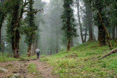 September 15th 2021 Uttarakhand INDIA. A solo Hiker with a backpack and walking stick on a trail in the jungles of Himalayas.