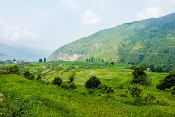 Farming Hills Himalayas Uttarakhand India — Foto de Stock