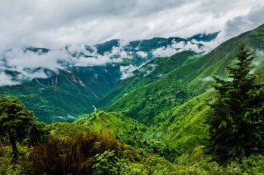 Hills in the Himalayas with green trees covered in mist and white clouds after a rainfall. Uttarakhand India.