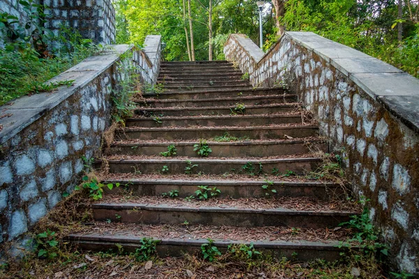 森林中央的一个生态公园的楼梯 Dehradun City Uttarakhand India — 图库照片