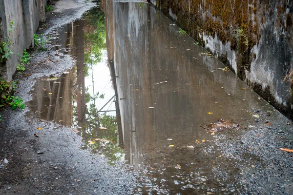 Disboscamento Dell Acqua Durante Monsone Strade Della Città Dehradun India — Foto Stock