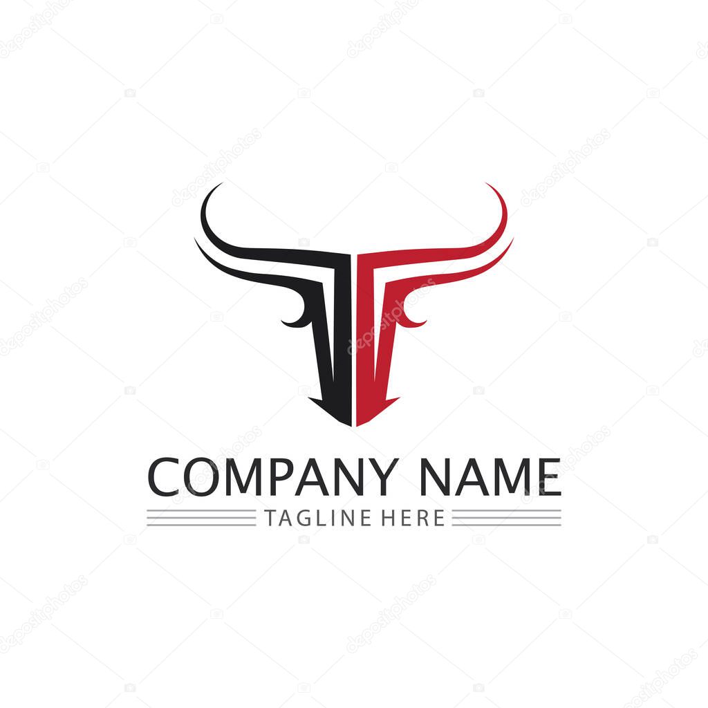 Bull and  buffalo head cow animal  mascot logo design vector for sport horn buffalo animal mammals head logo wild matador